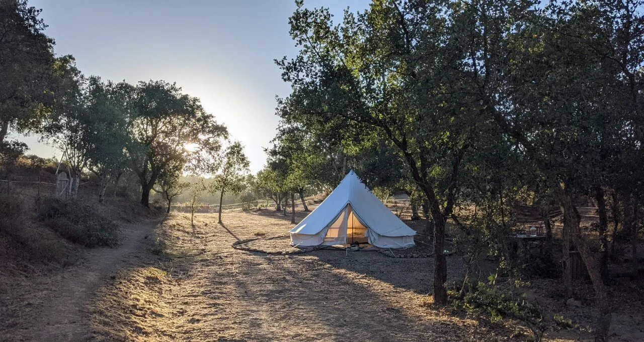 A glowing belltent among the cork oaks at Malama, beside a sunlit path