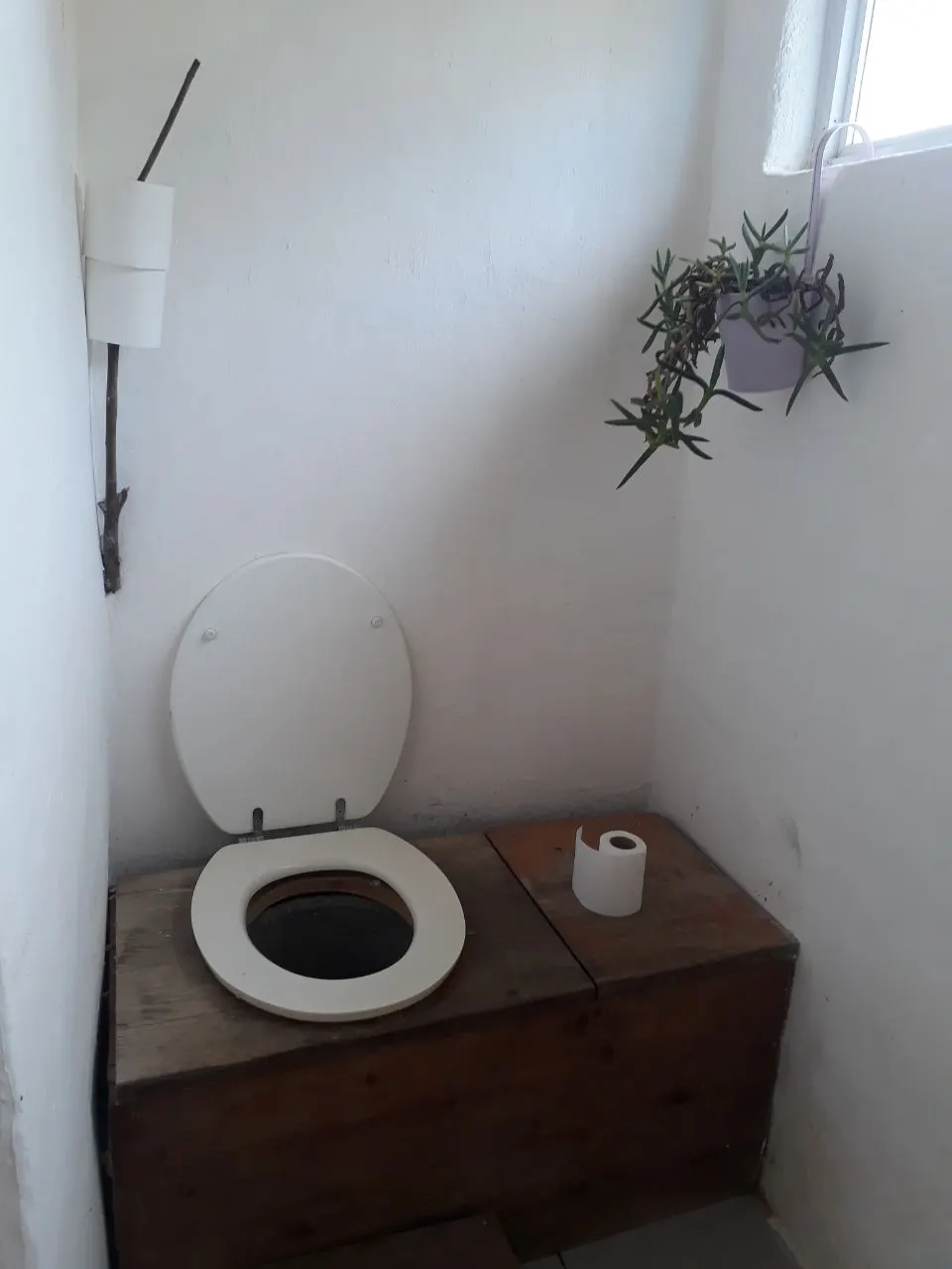 A clean dry toilet with a plant on the windowsill