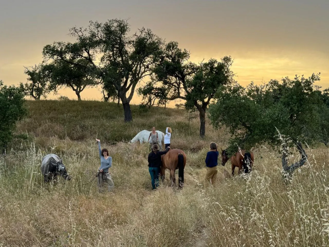 A mindful encounter with a horse at Malama