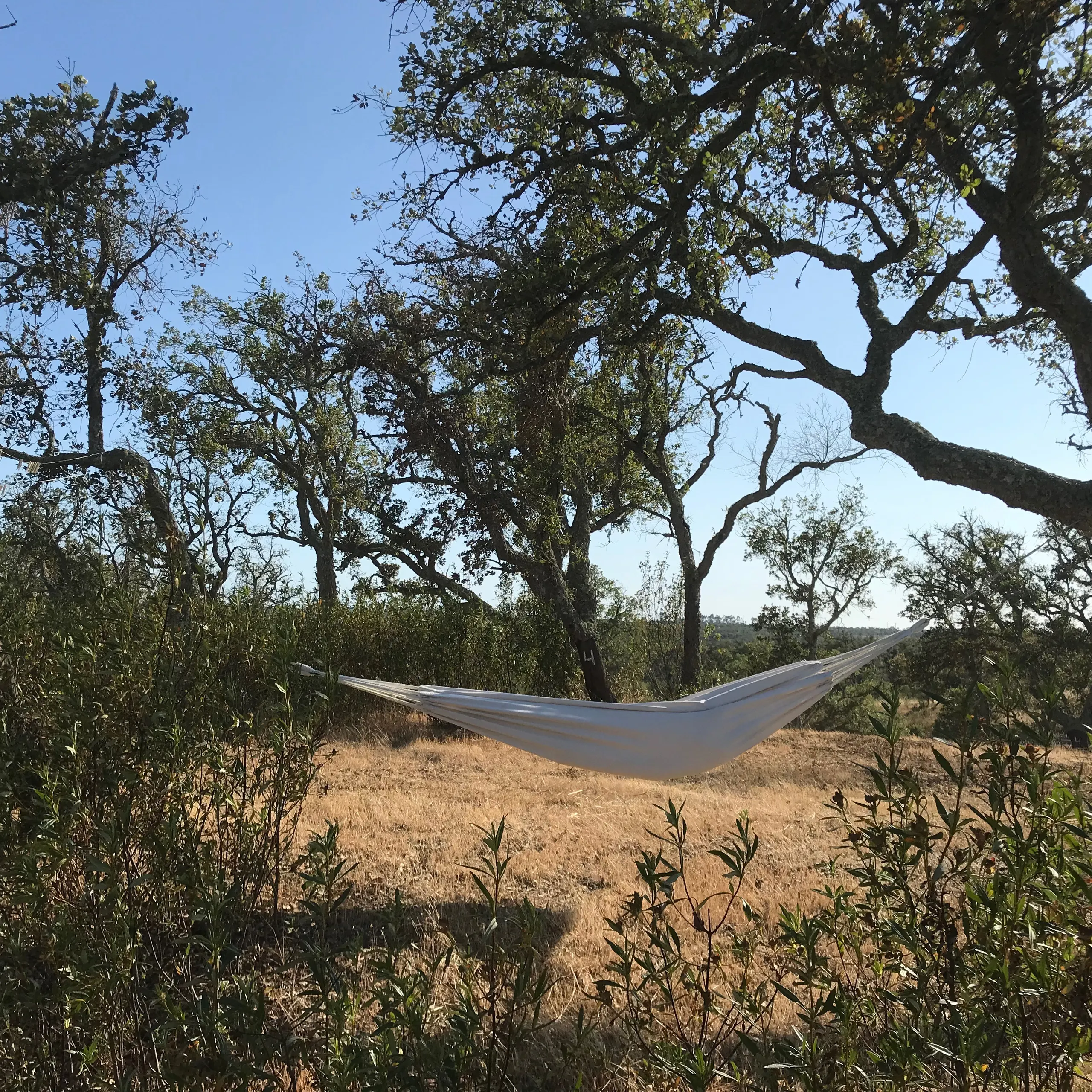 A hammock hanging between cork oaks at Malama