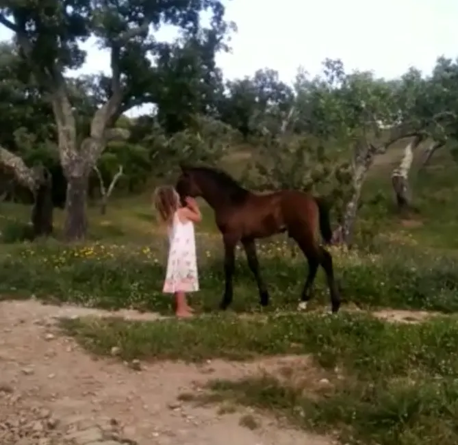 A child standing beside a horse under the cork oaks