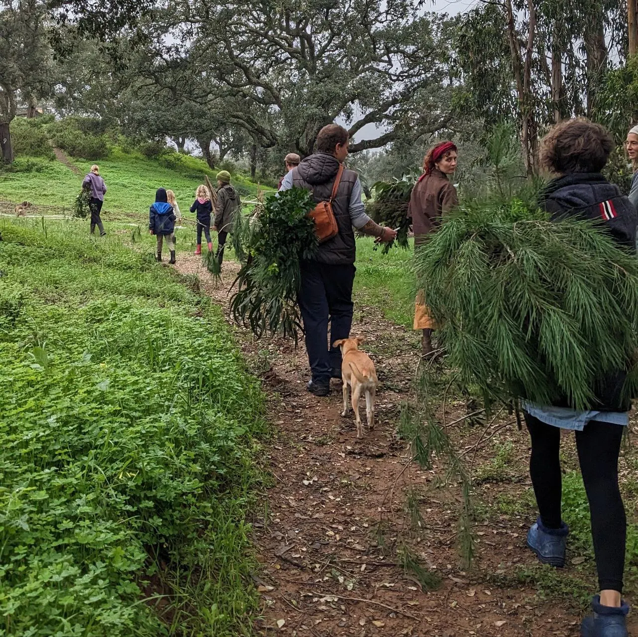 Friends carrying greenery along a path through the Malama gardens