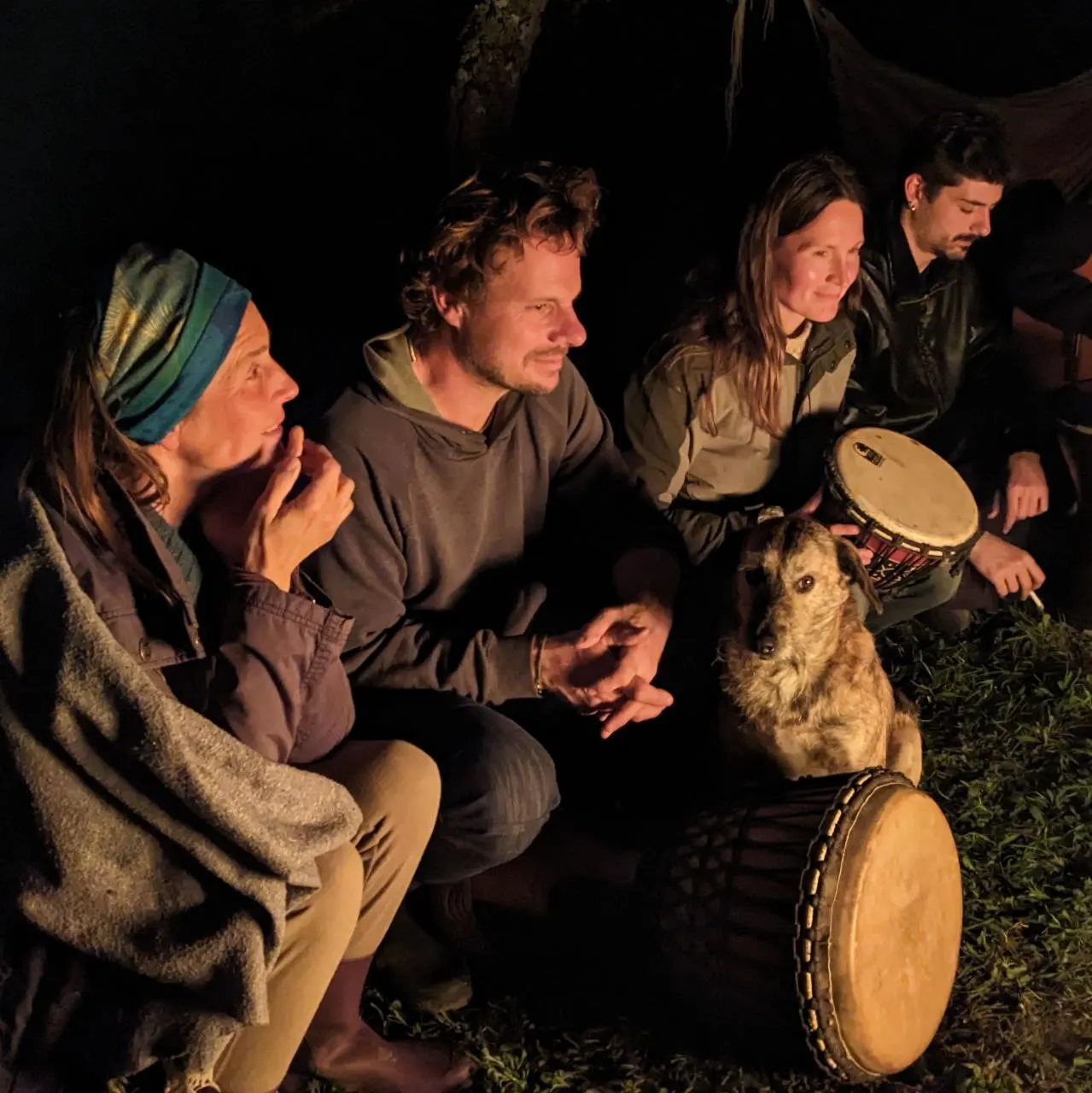 Friends playing music together outdoors at night