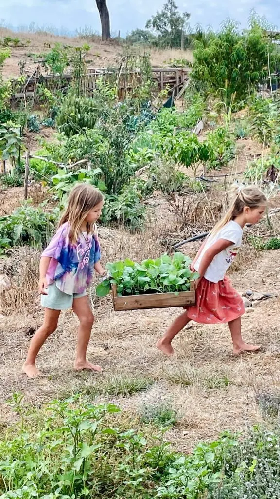 Two children carrying a tray of vegetables through the Malama garden