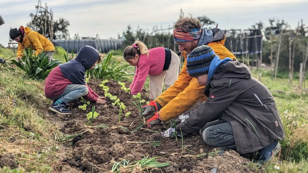 Community members tending the vegetable beds together