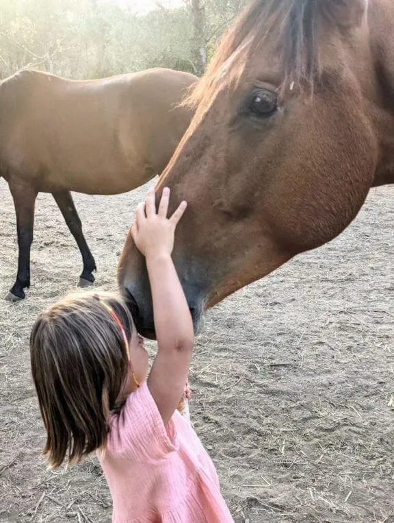 A young girl gently touching the nose of a brown horse