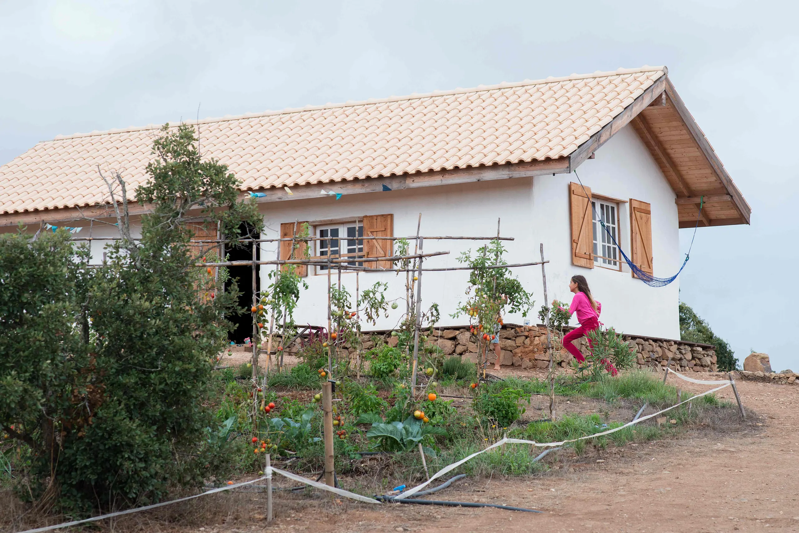 The white house with wooden shutters and a vegetable garden full of tomatoes, a child running past