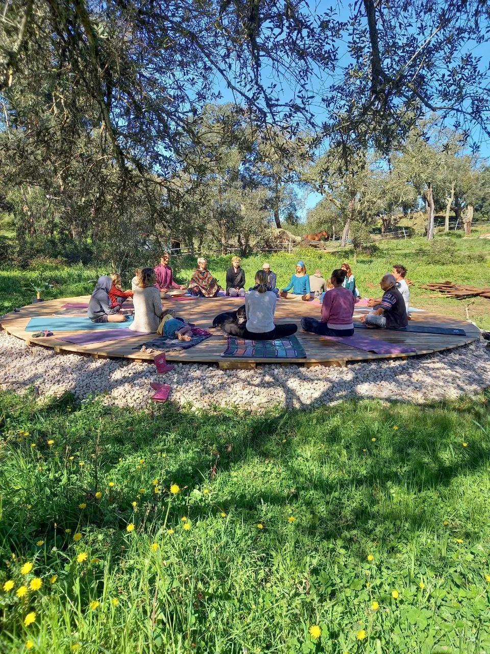 A circle of people sitting together on the round wooden deck under the cork oaks, with a horse grazing behind