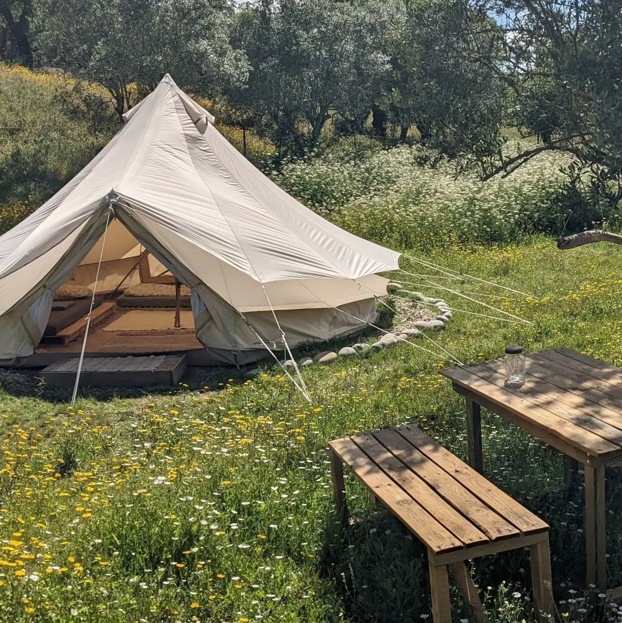 The Amor belltent in a flowering meadow with a wooden bench and table